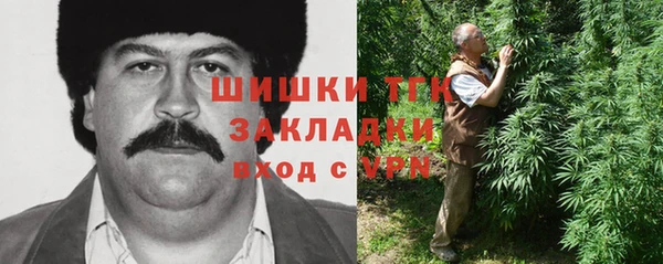 ГАЛЛЮЦИНОГЕННЫЕ ГРИБЫ Алексин