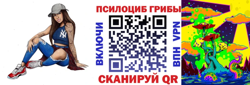 ссылка на мегу зеркало  Николаевск-на-Амуре  Псилоцибиновые грибы MAGIC MUSHROOMS 